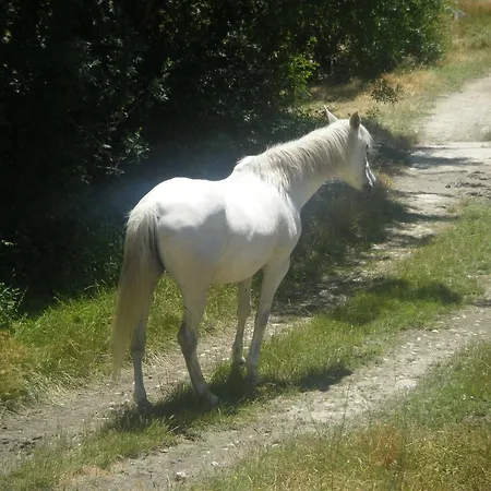 La Tejada Del Valle Valle de San Pedro