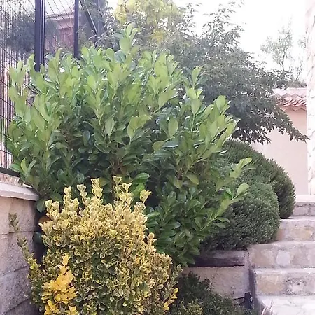 La Tejada Del Valle * Valle de San Pedro