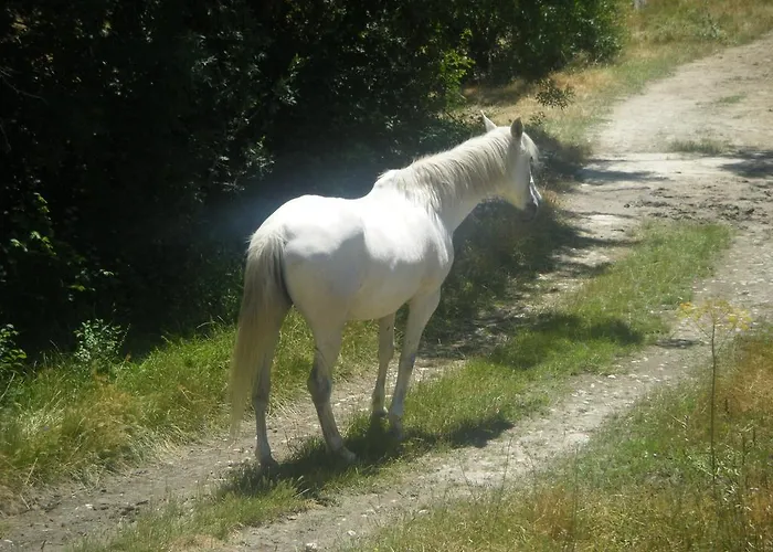 La Tejada Del Valle Valle de San Pedro