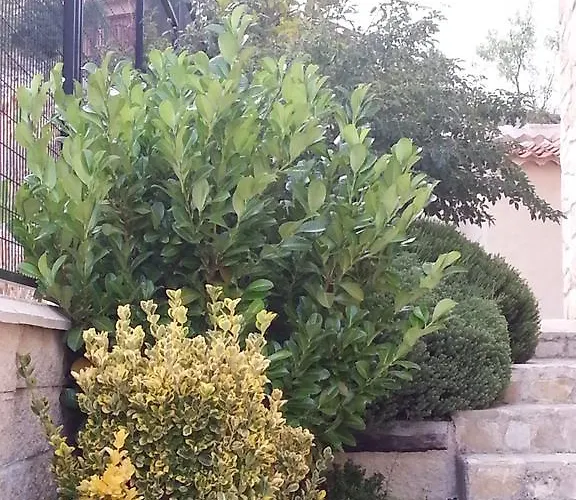 La Tejada Del Valle * Valle de San Pedro